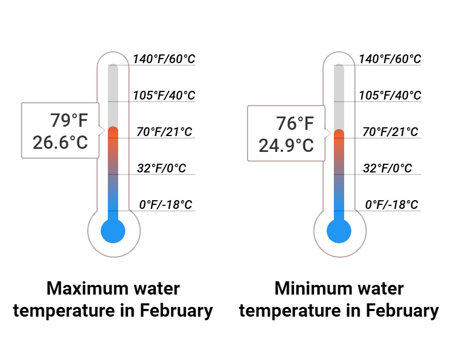 Average Sea temperature